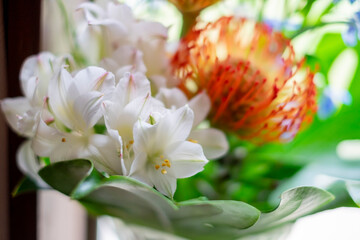 Obraz premium ピンクッションとアルストロメリアの花束