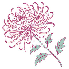 abstract floral background