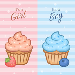Cute vector illustration of two cupcakes for gender reveal party. 