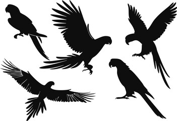 Obraz premium Collection of six dark green parrot silhouettes in flight