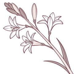 abstract floral background