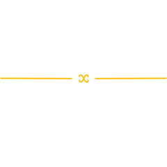 Golden Line Divider