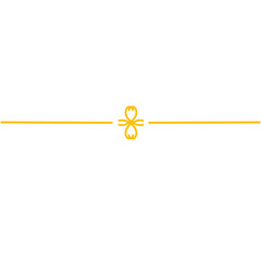 Golden Line Divider
