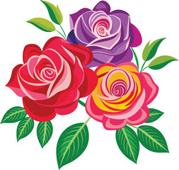 Balsam Roses colorful vector on a white background 