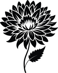 Chrysanthemum  silhouette vector on a white background 