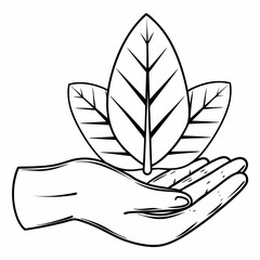 Hand holding three leaves with detailed veins in a black and white outline drawing illustration