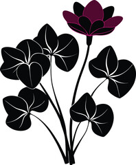 Cyclamen  silhouette vector on a white background 