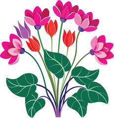 Cyclamen  colorful vector on a white background 