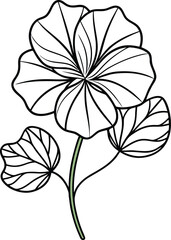 Nasturtium line art vector on a white background 
