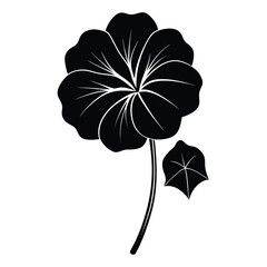 Nasturtium silhouette vector on a white background 