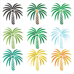 Collection of colorful vector palm trees illustration in different shades on white background