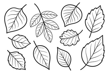 Collection of Hand-Drawn Outline Leaves; Simple, Elegant Botanical Illustrations; Perfect for Nature-Themed Designs.