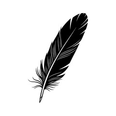 Obraz premium A black feather is isolated on white background, showcasing its intricate details