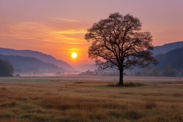 Obraz premium Serene sunrise over rolling hills with a solitary tree in a misty meadow