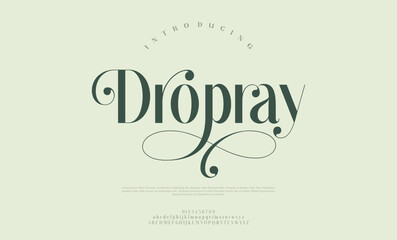 Luxury Script Serif Font with Swashes. Elegant Modern Alphabet for Branding & Invitations. Classic Lettering Minimal Fashion Designs. Typography modern serif fonts regular decorative vintage concept. 