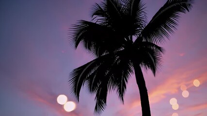 Pastel toned 4K animation silhouetted palm trees swaying gently beneath soft sunset sky dreamy bokeh lights creating tranquil vacation inspired mood tropical - Powered by Adobe
