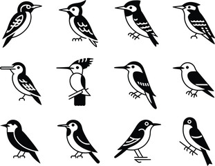 Collection of twelve different bird illustrations in black and white