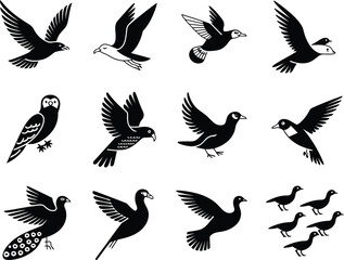 Fototapeta premium Collection of diverse bird silhouettes in flight and perched