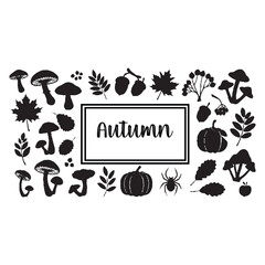 Autumn Season Elements, Fall Leaves and Pumpkins - Vector Illustration