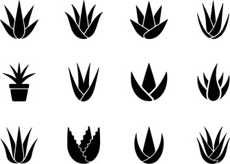 Black succulent plant icons white