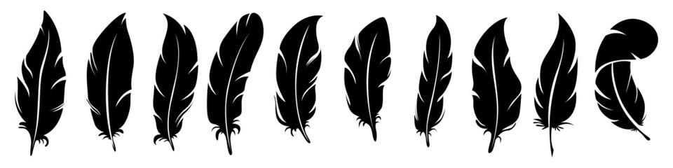 Black and White Feather. Bird feather icons set. Black Feather Silhouette vector illustration.
