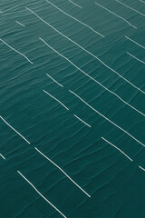 Abstract pattern of white lines on a dark teal textured background