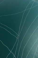 Abstract teal background with white organic lines and curves