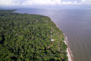 Amazon River and forest aerial view from Cotijuba Island Amazon Rainforest Conservation Area on a sunny summer day. Concept of environment, ecology, biodiversity, climate change,  nature, travel.