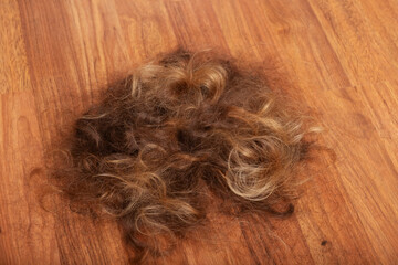 Hair on Floor After Buzzcut,Emotional Scene of Cancer Journey