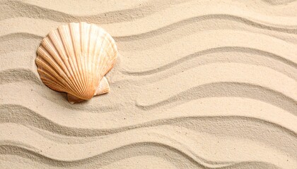 Seashell on sand with wavy patterns