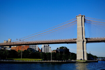 Naklejka premium Brooklyn Bridge Brooklyn Shores in Morning Light (Brooklyn, New York, USA)