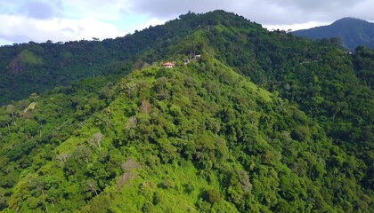 Obraz premium Verdant hills vista aerial shot showcasing tropical rainforest density and serenity