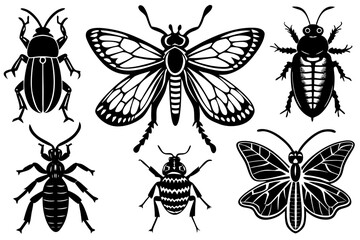 set of insects vector 