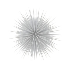 Fototapeta premium White dandelion seed head exploding isolated on transparent background