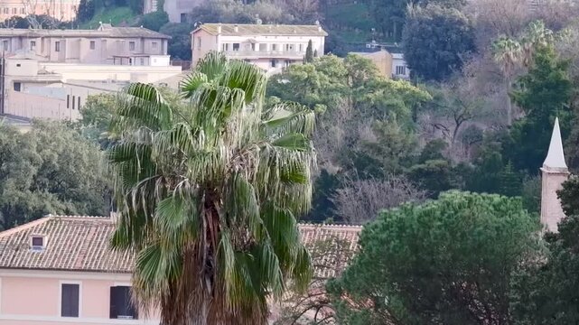 View over skyline and domes of city from Gianicolo hill in Rome, Italy