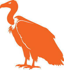 Vulture bird icon isolated Nature, birdwatching and ornithology design. Vector cartoon or flat illustration on white background