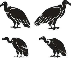 vulture silhouette art vector illustration with a white background,Vulture Silhouette Illustration – Black and White Stylized Bird with Hooked Beak
