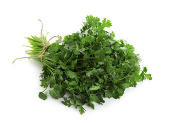 Bunch of fresh cilantro isolated on white