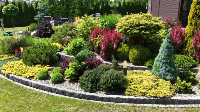 Explore Vibrant Garden Design Showcasing Colorful Plants and Unique Landscaping Ideas