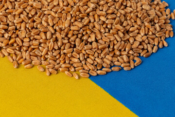 Ukraine flag and wheat seed kernels. Agriculture exports, production and supply concept.