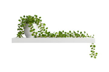 Handmade infant booties crafted from pastel yarn with soft cuffs, flat lay composition, isolated on transparent background
