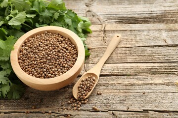 Fresh cilantro and coriander seeds on wooden table, closeup. Space for text