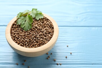 Coriander seeds in bowl and fresh cilantro leaves on light blue wooden table, closeup. Space for text