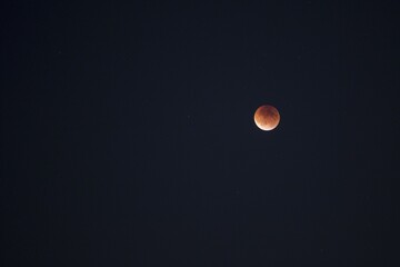 full moon in the night