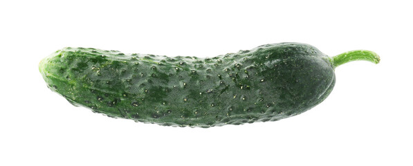 One fresh green cucumber isolated on white