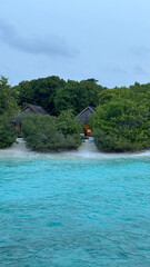 Seaside villas surrounded by tropical greenery and blue water — privacy and retreat concept