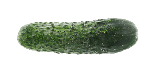 One fresh green cucumber isolated on white