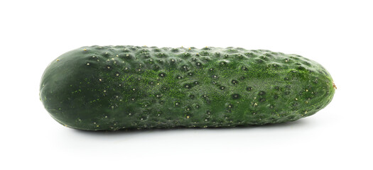 One fresh green cucumber isolated on white