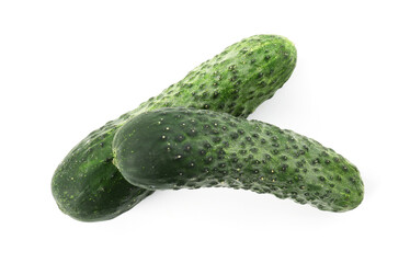 Two fresh green cucumbers isolated on white