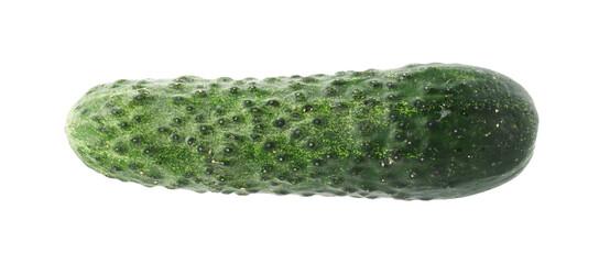 One fresh green cucumber isolated on white